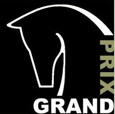 Grand Prix Rugs